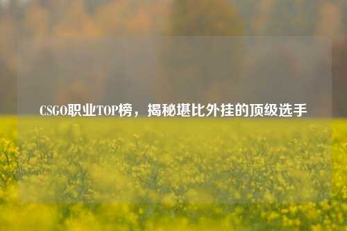 CSGO职业TOP榜,揭秘堪比外挂的顶级选手