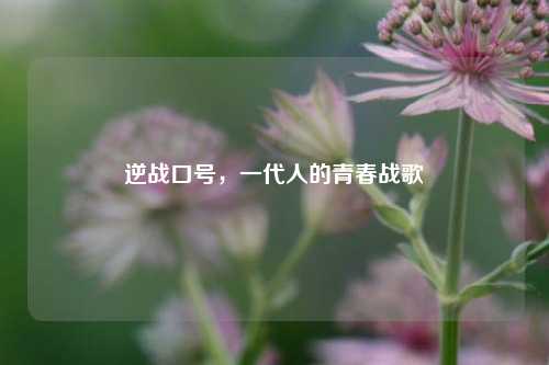 逆战口号，一代人的青春战歌