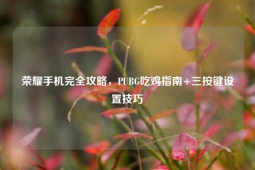 荣耀手机完全攻略，PUBG吃鸡指南+三按键设置技巧