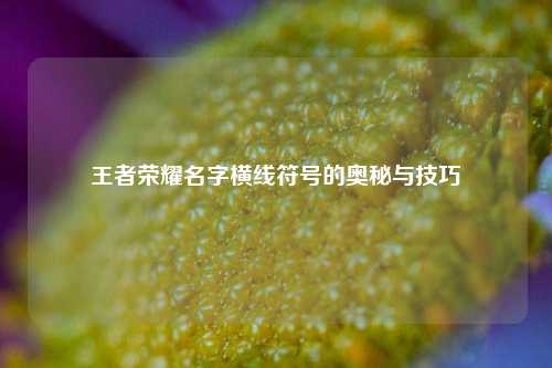 王者荣耀名字横线符号的奥秘与技巧