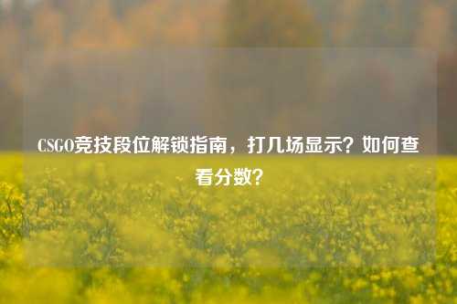 CSGO竞技段位解锁指南,打几场显示?如何查看分数?