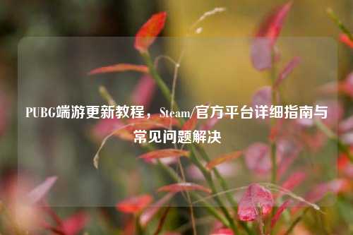 PUBG端游更新教程，Steam/官方平台详细指南与常见问题解决