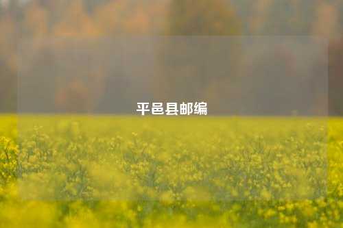 平邑县邮编