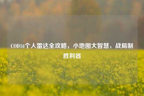 COD16个人雷达全攻略，小地图大智慧，战局制胜利器