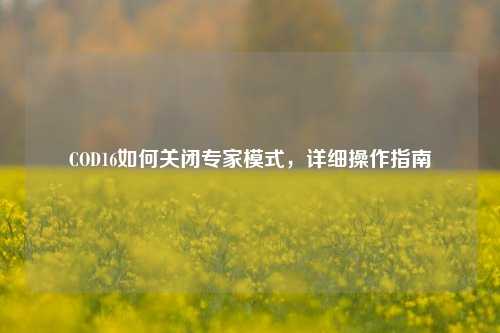 COD16如何关闭专家模式，详细操作指南