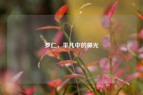 罗仁，平凡中的微光