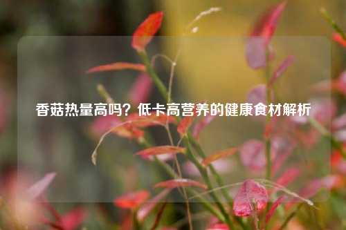 香菇热量高吗?低卡高营养的健康食材解析