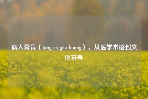 病入膏肓（bìng rù gāo huāng），从医学术语到文化符号