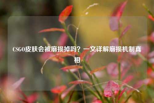 CSGO皮肤会被磨损掉吗?一文详解磨损机制真相