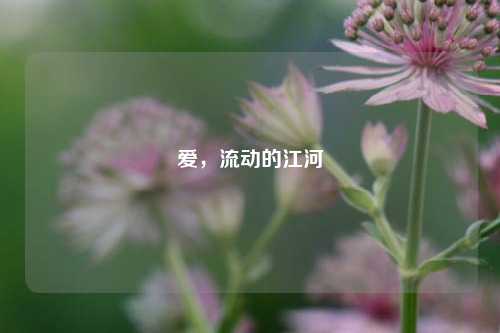 爱,流动的江河