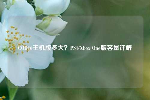 COD16主机版多大?PS4/Xbox One版容量详解