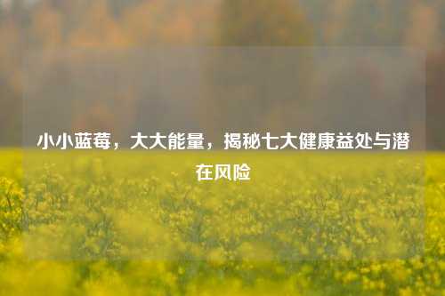 小小蓝莓,大大能量,揭秘七大健康益处与潜在风险