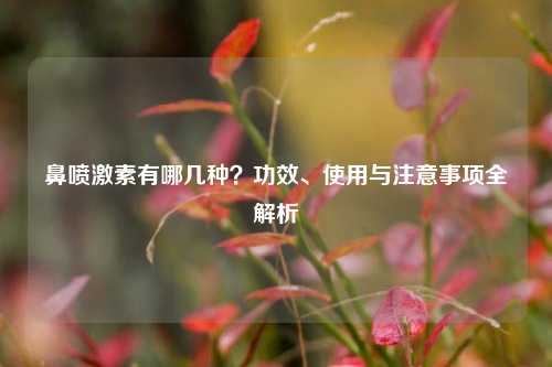 鼻喷激素有哪几种？功效、使用与注意事项全解析