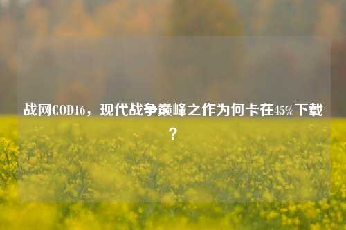 战网COD16，现代战争巅峰之作为何卡在45%下载？
