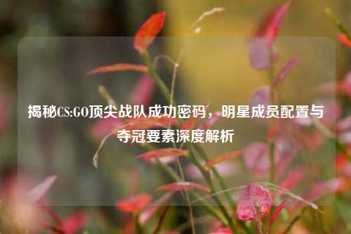揭秘CS:GO顶尖战队成功密码，明星成员配置与夺冠要素深度解析