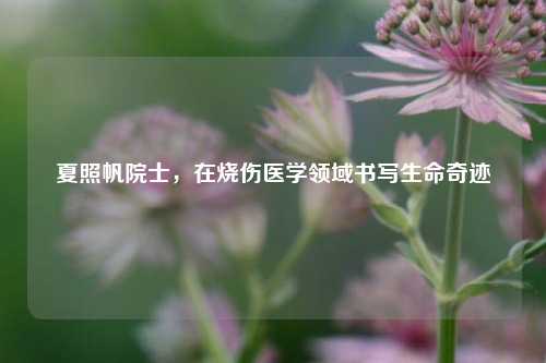 夏照帆院士,在烧伤医学领域书写生命奇迹