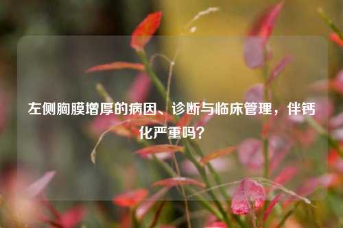 左侧胸膜增厚的病因、诊断与临床管理,伴钙化严重吗?