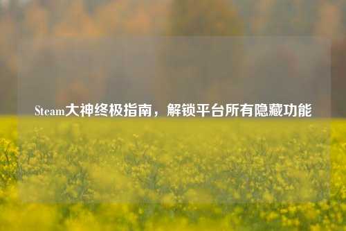 Steam大神终极指南，解锁平台所有隐藏功能
