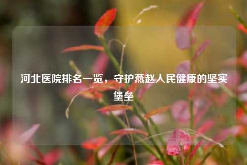 河北医院排名一览,守护燕赵人民健康的坚实堡垒