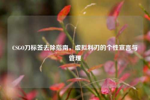CSGO刀标签去除指南，虚拟利刃的个性宣言与管理