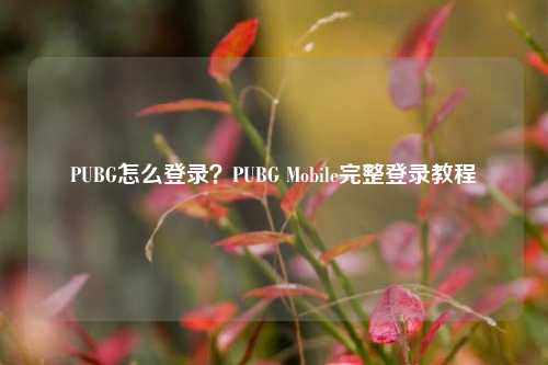 PUBG怎么登录？PUBG Mobile完整登录教程