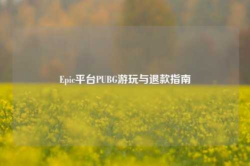 Epic平台PUBG游玩与退款指南