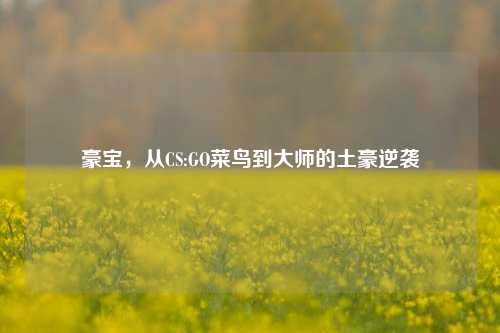 豪宝，从CS:GO菜鸟到大师的土豪逆袭