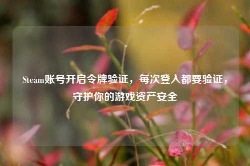 Steam账号开启令牌验证，每次登入都要验证，守护你的游戏资产安全