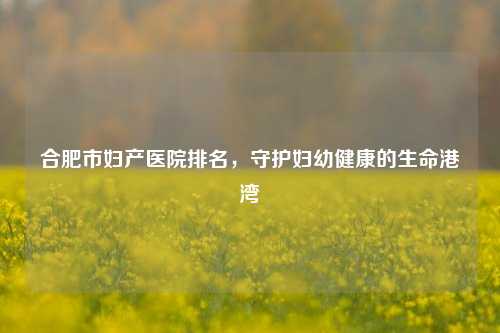 合肥市妇产医院排名,守护妇幼健康的生命港湾