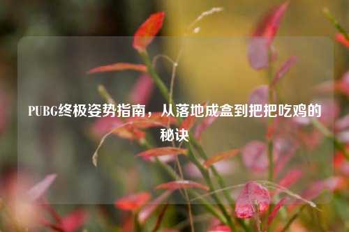 PUBG终极姿势指南，从落地成盒到把把吃鸡的秘诀