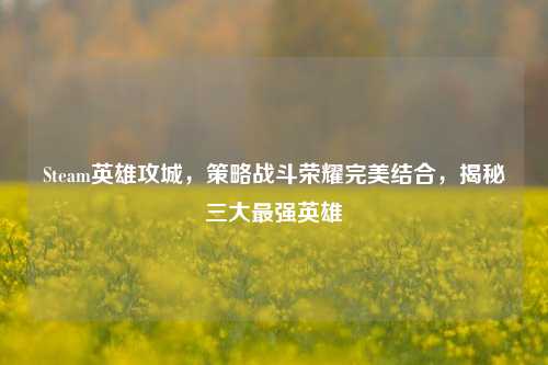 Steam英雄攻城，策略战斗荣耀完美结合，揭秘三大最强英雄