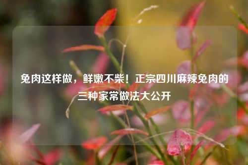 兔肉这样做,鲜嫩不柴!正宗四川麻辣兔肉的三种家常做法大公开