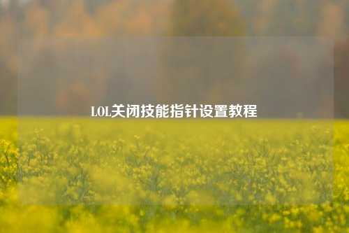 LOL关闭技能指针设置教程