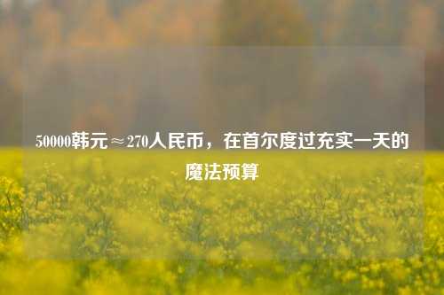 50000韩元≈270人民币,在首尔度过充实一天的魔法预算