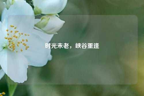 时光未老，峡谷重逢