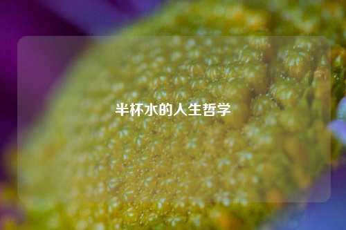 半杯水的人生哲学