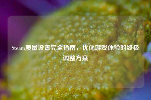 Steam质量设置完全指南，优化游戏体验的终极调整方案