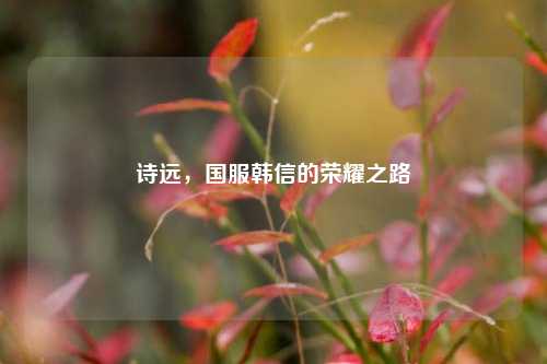 诗远，国服韩信的荣耀之路