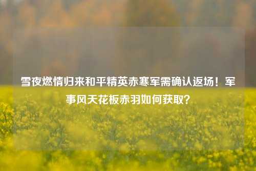 雪夜燃情归来和平精英赤寒军需确认返场!军事风天花板赤羽如何获取?