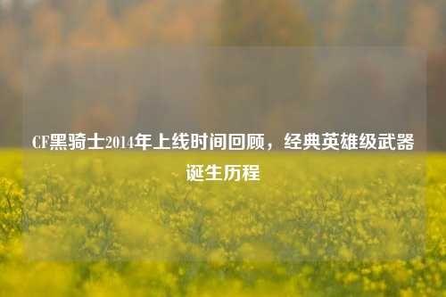 CF黑骑士2014年上线时间回顾，经典英雄级武器诞生历程