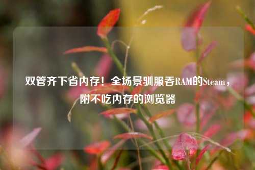 双管齐下省内存！全场景驯服吞RAM的Steam，附不吃内存的浏览器