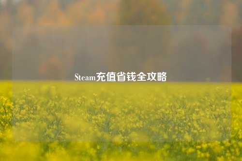 Steam充值省钱全攻略