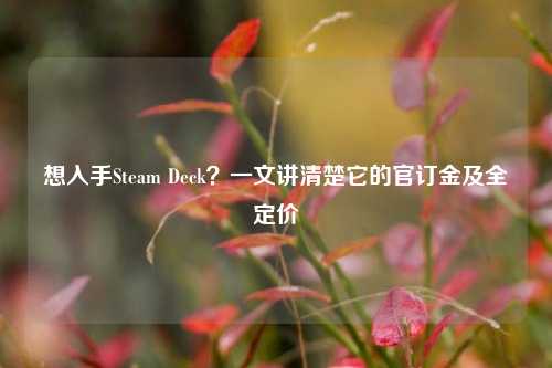 想入手Steam Deck？一文讲清楚它的官订金及全定价