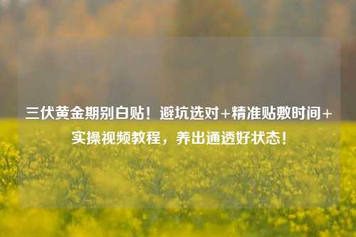 三伏黄金期别白贴!避坑选对+精准贴敷时间+实操视频教程,养出通透好状态!