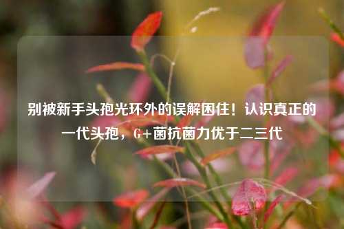 别被新手头孢光环外的误解困住!认识真正的一代头孢,G+菌抗菌力优于二三代
