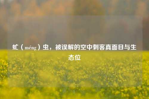 虻(méng)虫,被误解的空中刺客真面目与生态位
