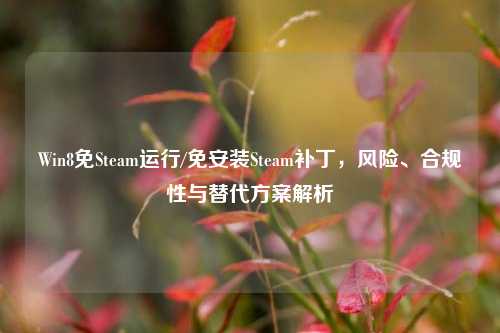 Win8免Steam运行/免安装Steam补丁,风险、合规性与替代方案解析