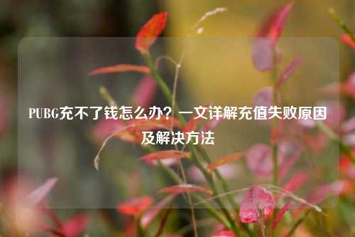 PUBG充不了钱怎么办？一文详解充值失败原因及解决方法