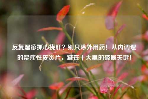 反复湿疹抓心挠肝?别只涂外用药!从内调理的湿疹性皮炎片,藏在十大里的破局关键!