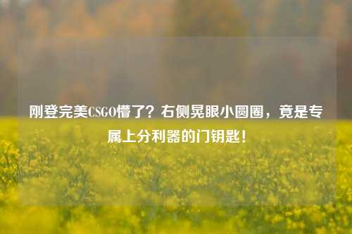 刚登完美CSGO懵了?右侧晃眼小圆圈,竟是专属上分利器的门钥匙!